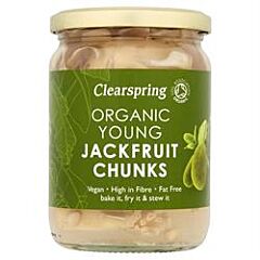 Organic Young Jackfruit Chunks (500g)