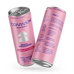 Sparkling Raspberry & Ginger (330ml)