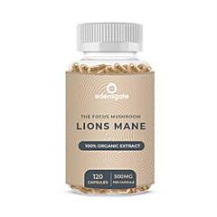 Lions Mane Extract Capsules (120 capsule)
