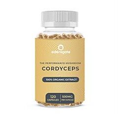 Cordyceps Extract Capsules (120 tablet)