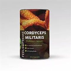 Cordyceps Militaris Capsules (60 capsule)