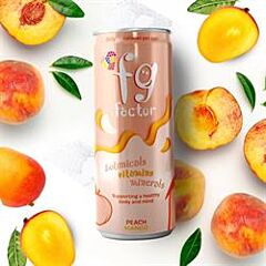 Free Peach & Mango Drink (250ml)