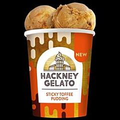 FREE Sticky Toffee Pudding (460ml)