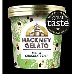 Mint & Choc Chips Gelato (100ml)