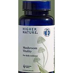 Mushroom Vitality (60 capsule)