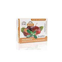 Fagaflex (45 tablet)
