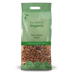 Org Pinto Beans (500g)