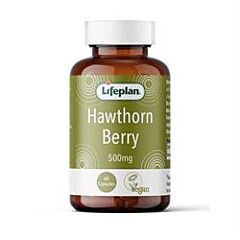 Hawthorn 500mg (60 capsule)