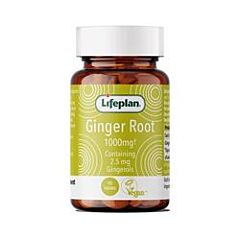 Ginger Root (60 capsule)