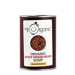Organic Spicy Bean Soup (400g)