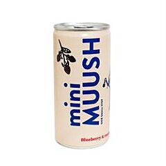 Blueberry Raspberry Soda (200ml)