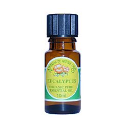 Eucalyptus Essential Oil Organ (10ml)