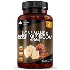 Lions Mane & Reishi Capsules (120 capsule)