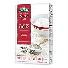 Self Raising Flour (500g)