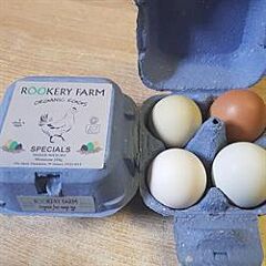 Organic Special Eggs Mix Sized (4eggs)
