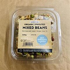 Organic Sprouted Mixed Beans (200g)