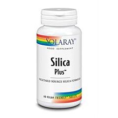 Silica Plus (60 capsule)