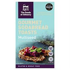 GF Multiseed Toasts (100g)